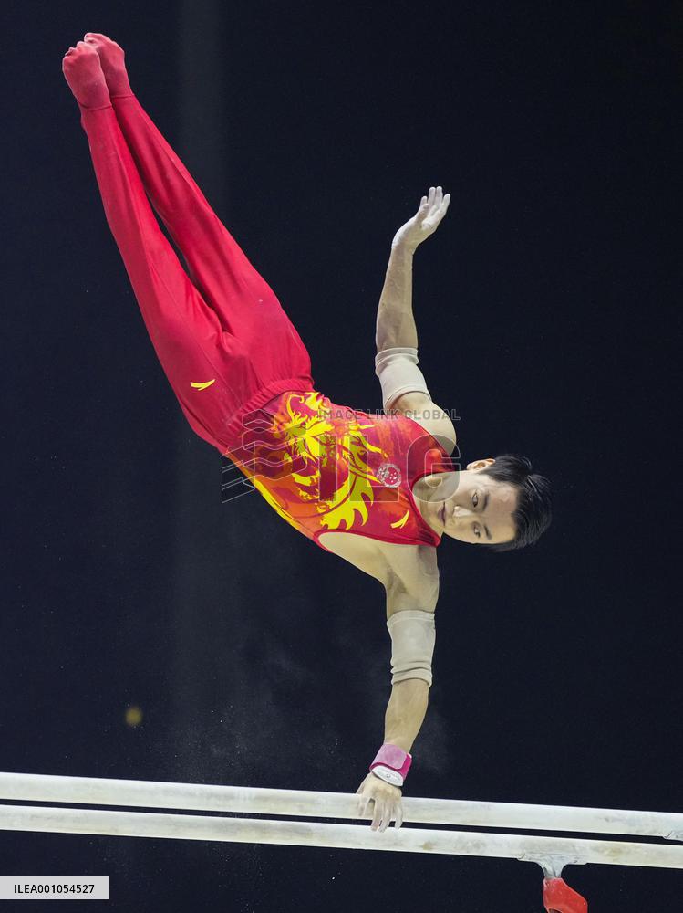 Artistic gymnastics: world championships