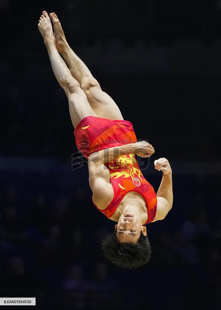 Artistic gymnastics: world championships