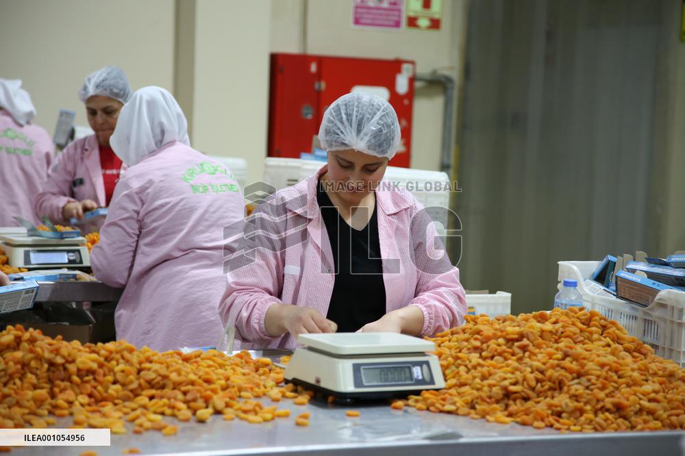 TÜRKIYE-CHINA-CIIE-BUSINESS OPPORTUNITIES