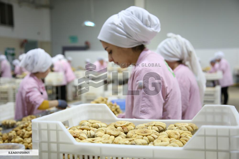 TÜRKIYE-CHINA-CIIE-BUSINESS OPPORTUNITIES