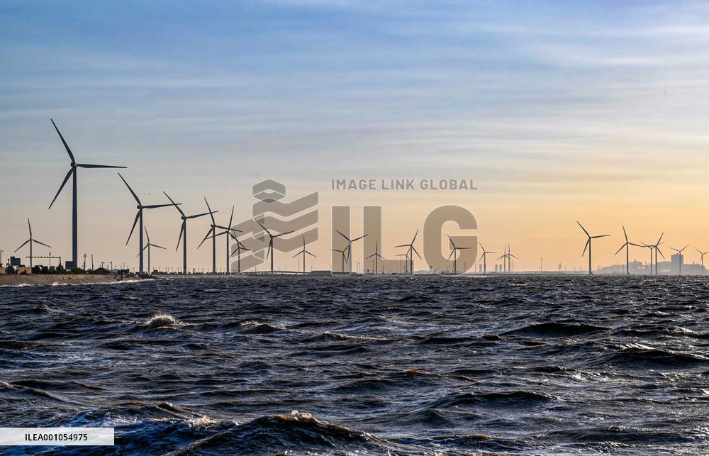 Xinhua Headlines: China's carbon emissions reduction goals attract foreign firms
