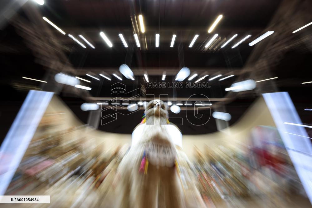(CIIE) CHINA-SHANGHAI-CIIE-ALPACA FIBER-PRODUCTS (CN)