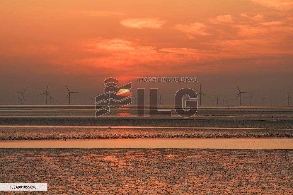 CHINA-JIANGSU-YANCHENG-WETLAND (CN)