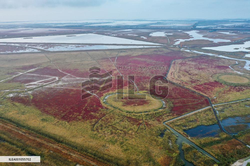 CHINA-JIANGSU-YANCHENG-WETLAND (CN)