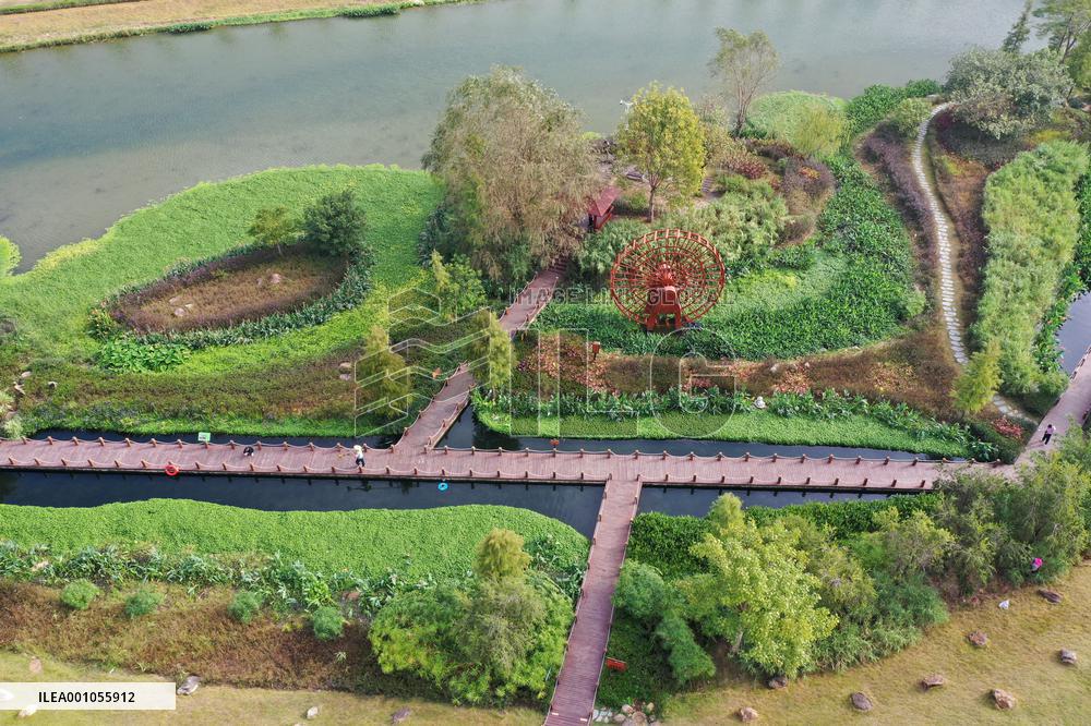 CHINA-GUANGXI-NANNING-NAKAO RIVER-WETLAND (CN)