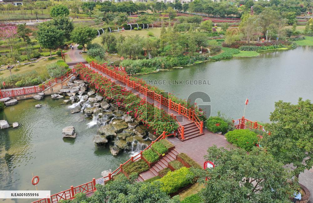 CHINA-GUANGXI-NANNING-NAKAO RIVER-WETLAND (CN)