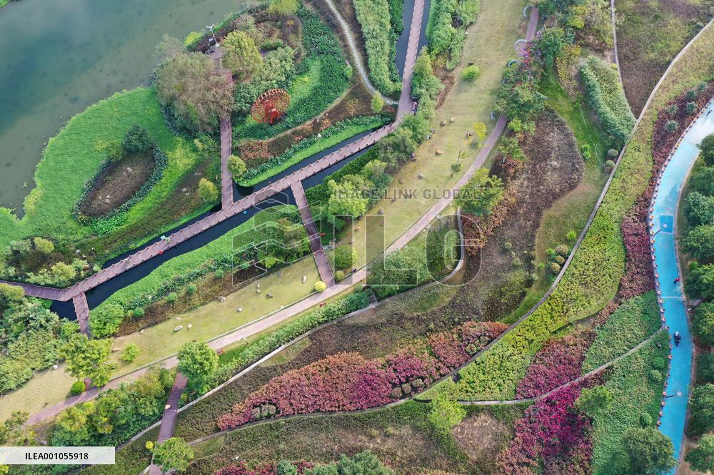 CHINA-GUANGXI-NANNING-NAKAO RIVER-WETLAND (CN)