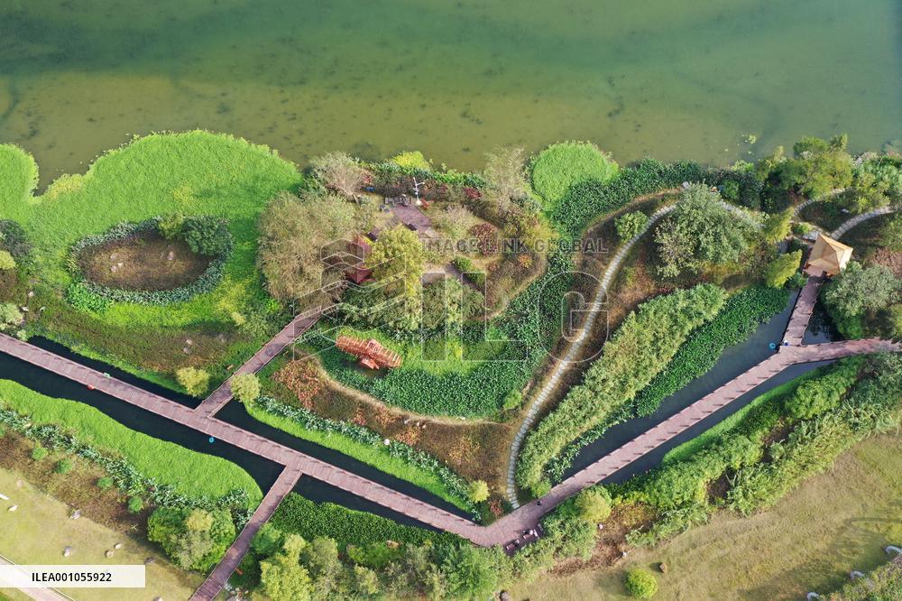 CHINA-GUANGXI-NANNING-NAKAO RIVER-WETLAND (CN)