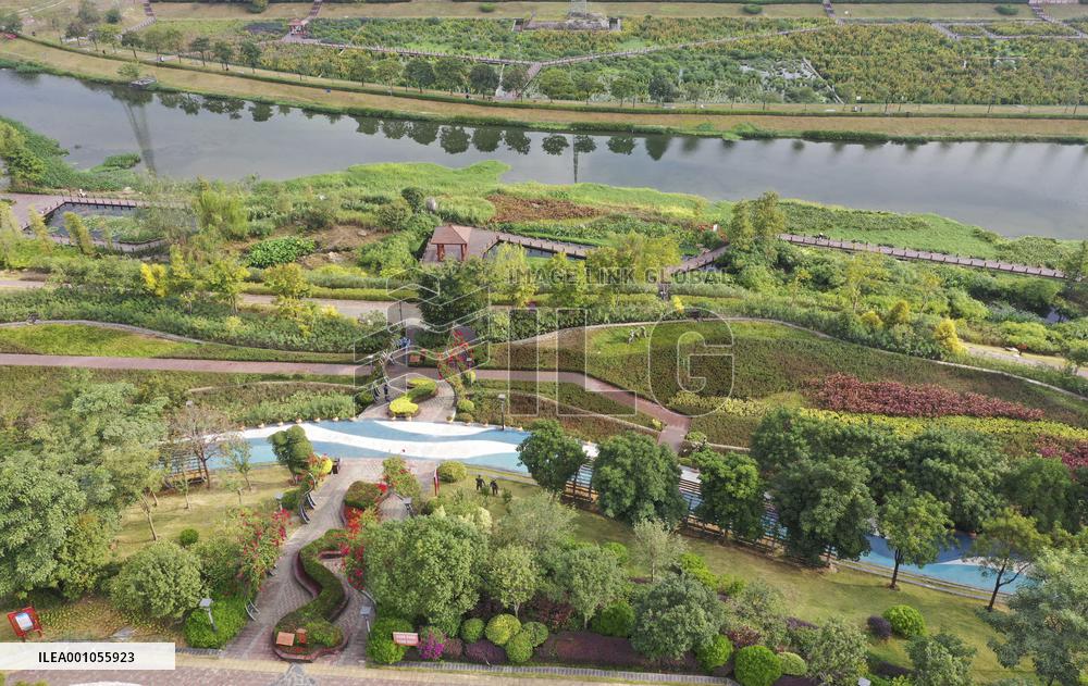 CHINA-GUANGXI-NANNING-NAKAO RIVER-WETLAND (CN)