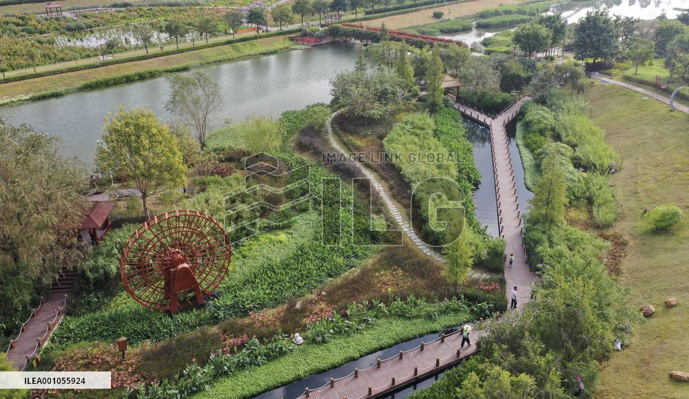 CHINA-GUANGXI-NANNING-NAKAO RIVER-WETLAND (CN)