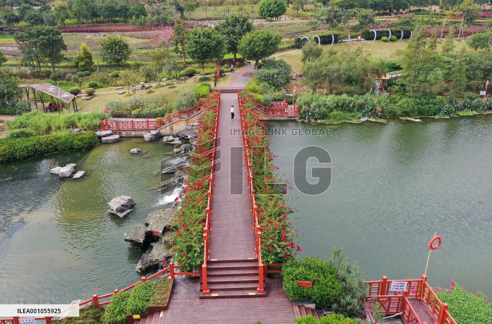 CHINA-GUANGXI-NANNING-NAKAO RIVER-WETLAND (CN)