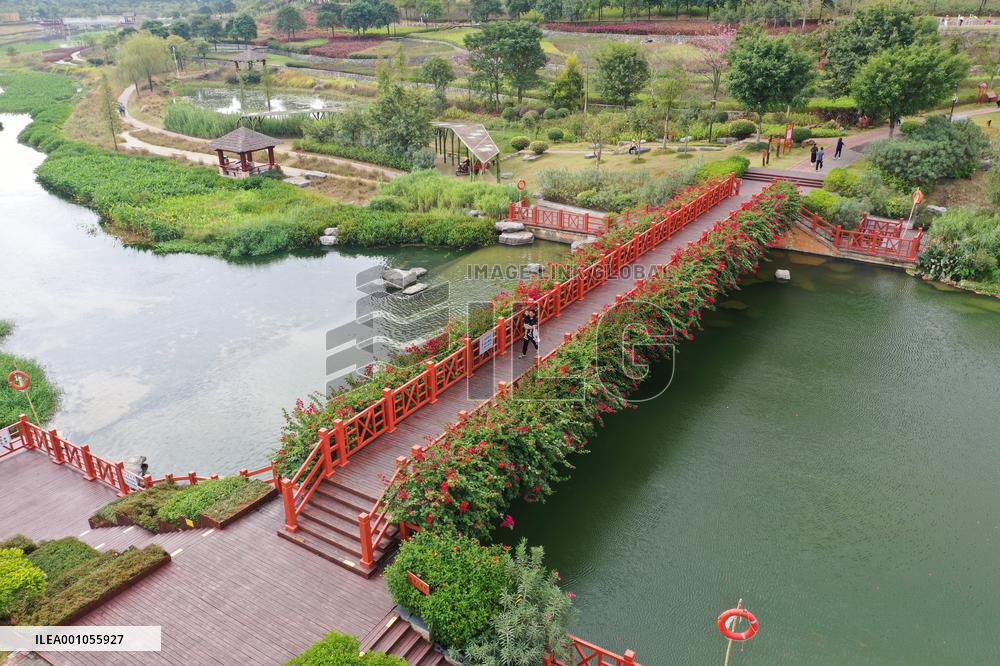 CHINA-GUANGXI-NANNING-NAKAO RIVER-WETLAND (CN)