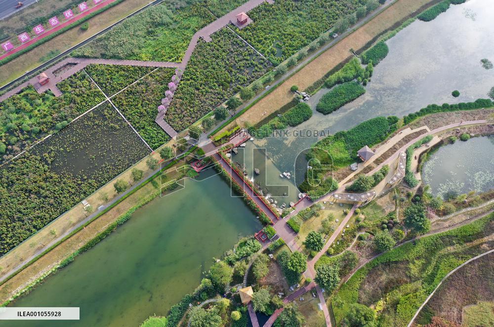 CHINA-GUANGXI-NANNING-NAKAO RIVER-WETLAND (CN)