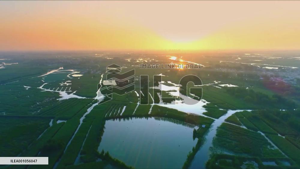 Zambia-China friendship body says China development model inspiring