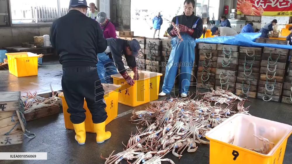 Snow crab fishing begins in western Japan