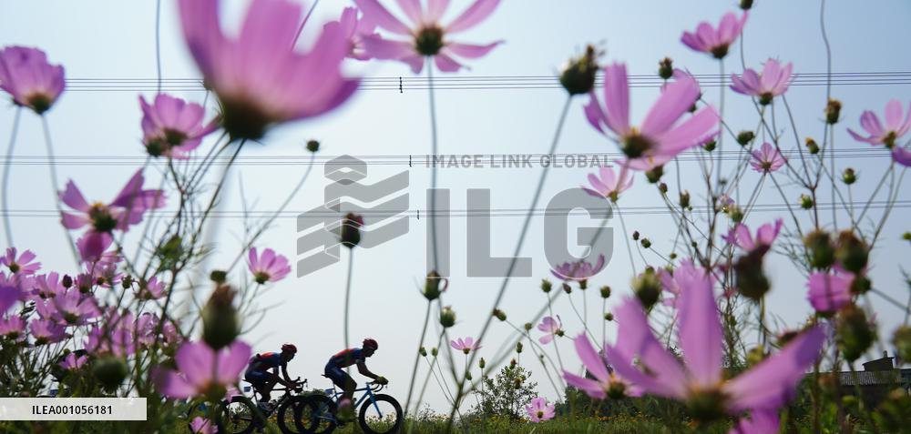 CHINA-JIANGXI-NANCHANG-WETLAND CITY (CN)
