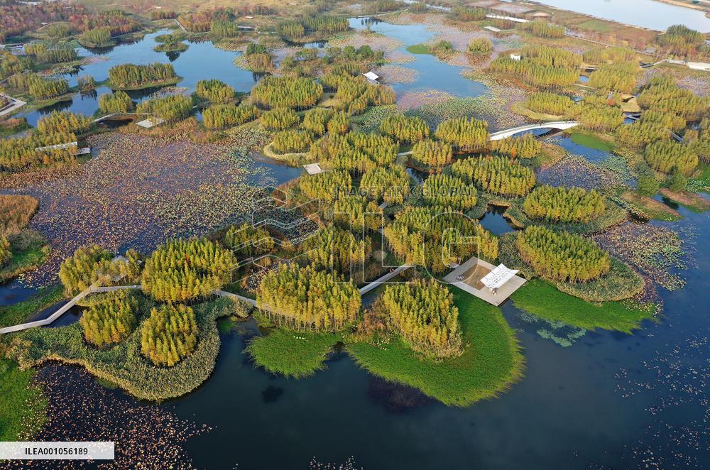CHINA-JIANGXI-NANCHANG-WETLAND CITY (CN)