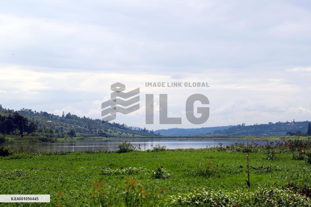 RWANDA-KIGALI-WETLANDS