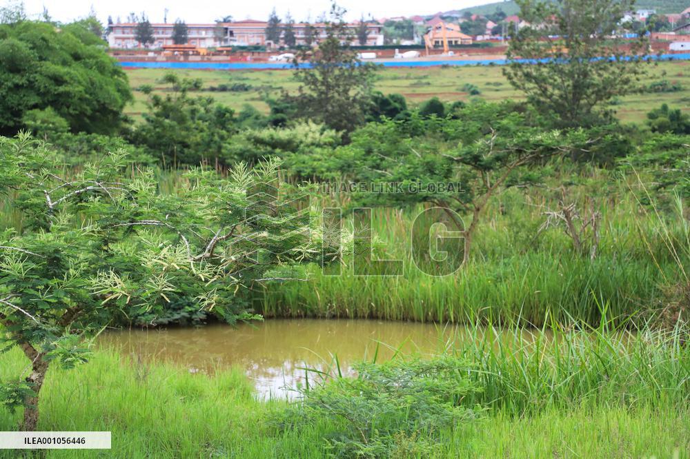 RWANDA-KIGALI-WETLANDS