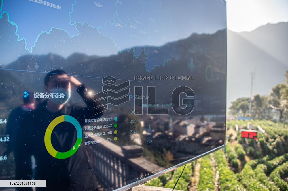 Xinhua Headlines: Digital technology propels China's pursuit for common prosperity