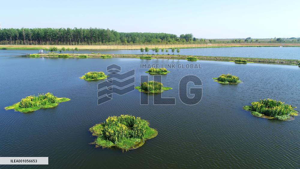 CHINA-ANHUI-HEFEI-WETLAND CITY (CN)