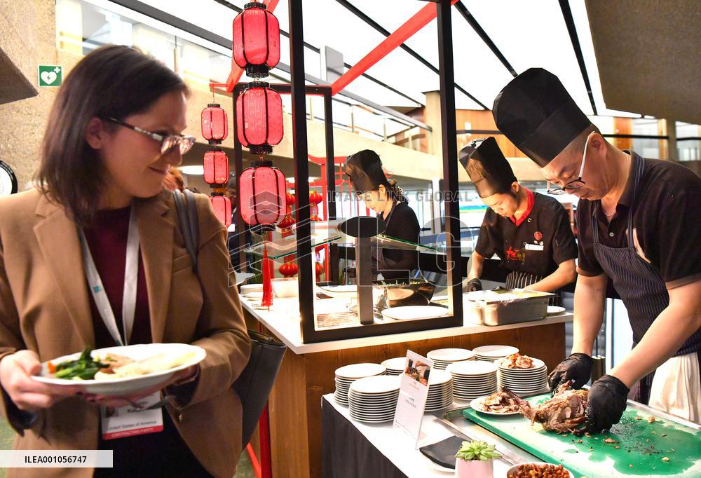 SWITZERLAND-GENEVA-COP14-CHINESE FOOD