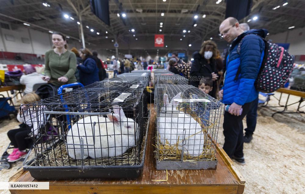 CANADA-TORONTO-ROYAL AGRICULTURAL WINTER FAIR