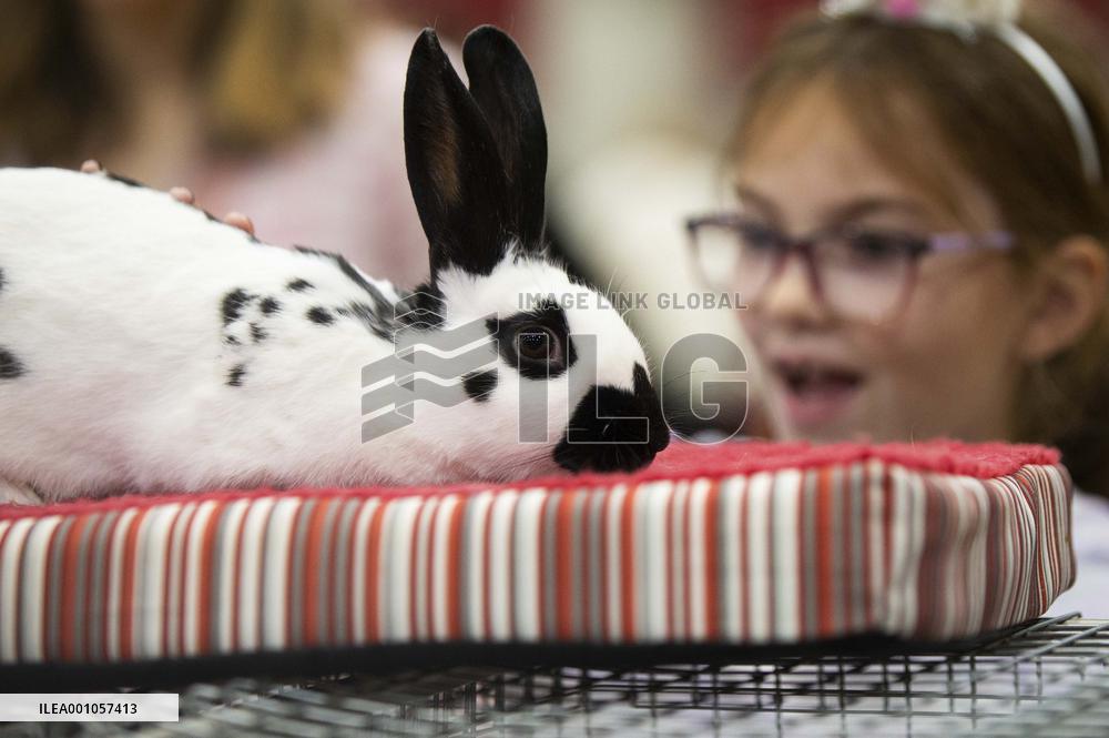 CANADA-TORONTO-ROYAL AGRICULTURAL WINTER FAIR