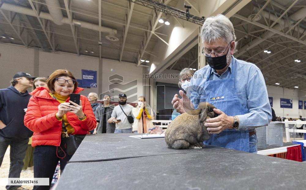 CANADA-TORONTO-ROYAL AGRICULTURAL WINTER FAIR