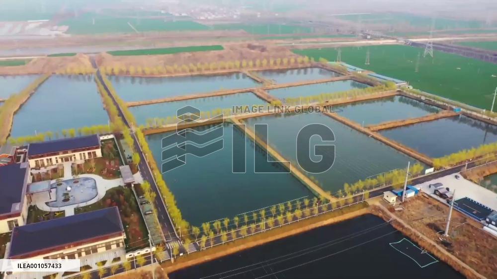 Take a peek at Jining: int'l wetland city