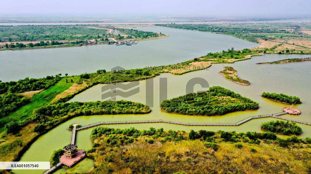 CHINA-SHANDONG-DONGYING-WETLAND CITY (CN)