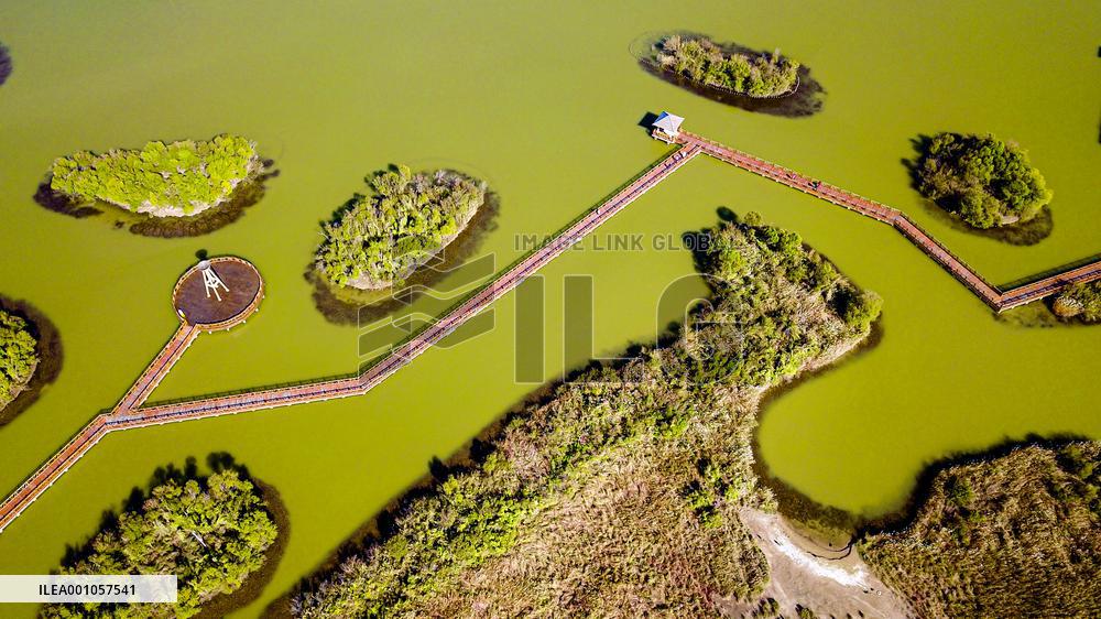 CHINA-SHANDONG-DONGYING-WETLAND CITY (CN)