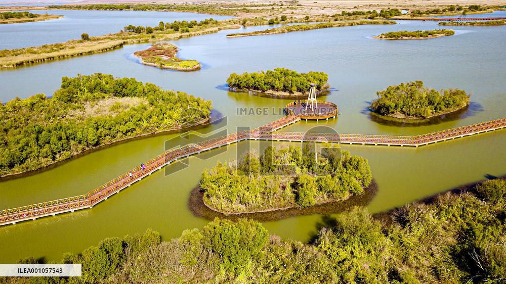CHINA-SHANDONG-DONGYING-WETLAND CITY (CN)