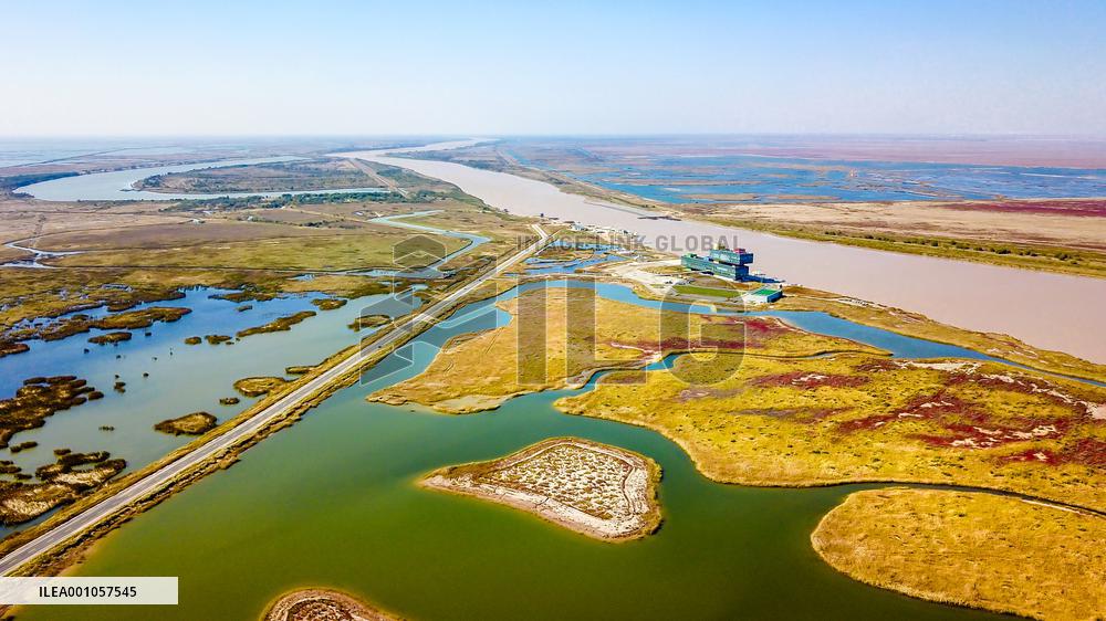 CHINA-SHANDONG-DONGYING-WETLAND CITY (CN)