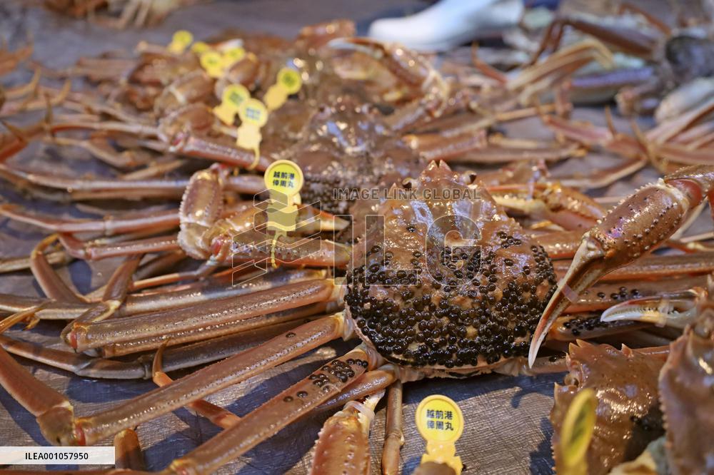 Season's 1st catch of Echizen crabs