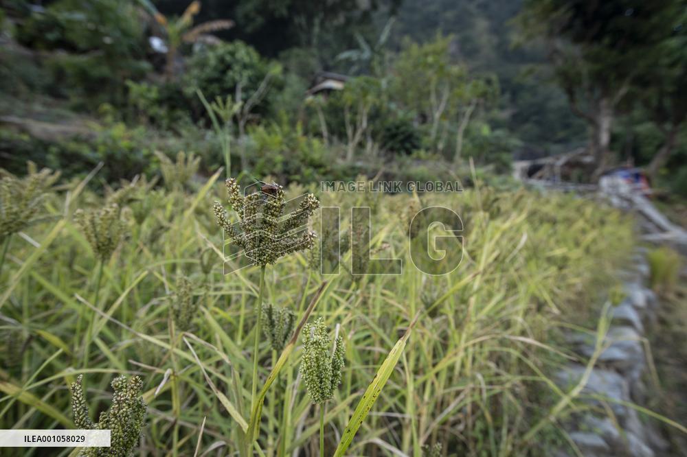 NEPAL-CHINA-PROJECT COMPANY-SOCIAL RESPONSIBILITY PROJECTS