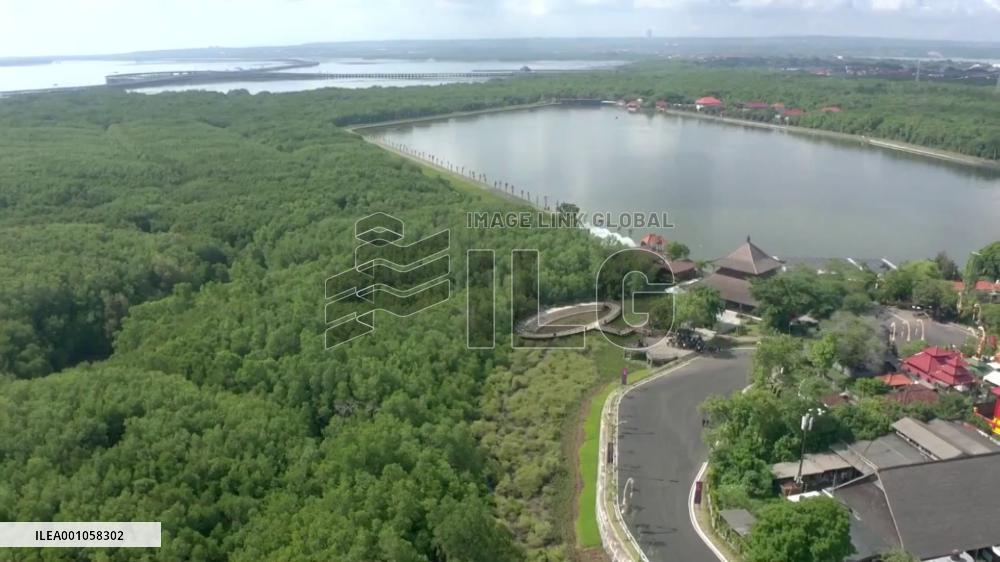 China's proposals on global cooperation, development at G20 Summit gain worldwide attention