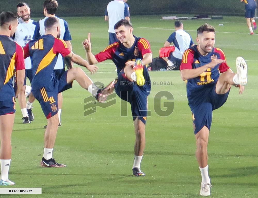 Football: World Cup Spain squad