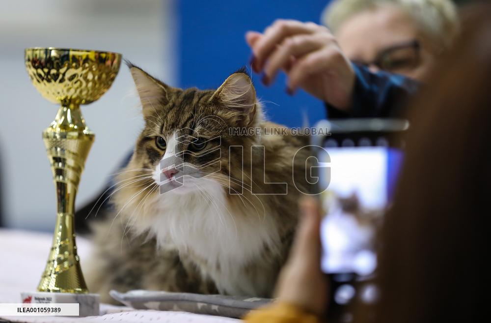 CROATIA-ZAGREB-CAT SHOW