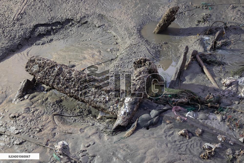 CHINA-SHANGHAI-ANCIENT SHIPWRECK-SALVAGE  (CN)