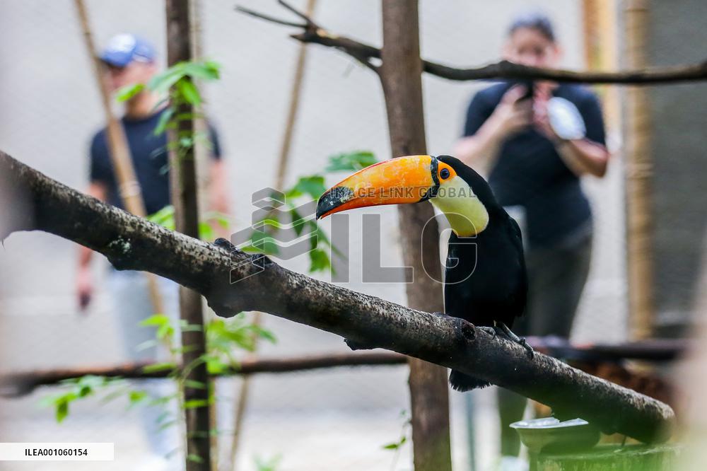 PHILIPPINES-MANILA-ZOO-REOPENING