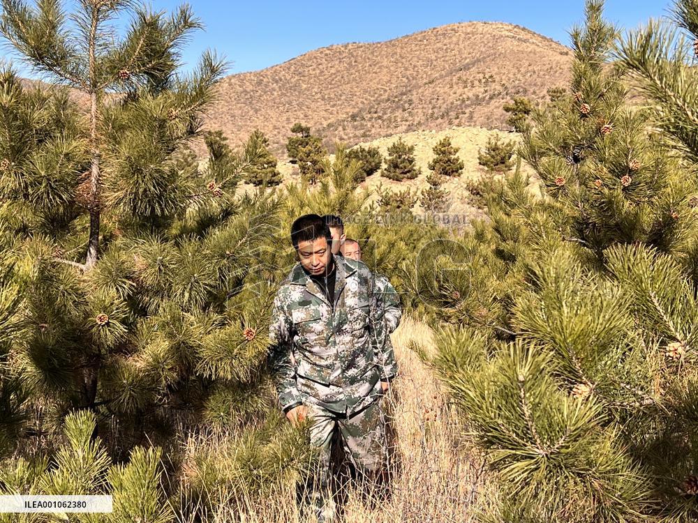 Xinhua Headlines: China's carbon reduction drive creates more green jobs