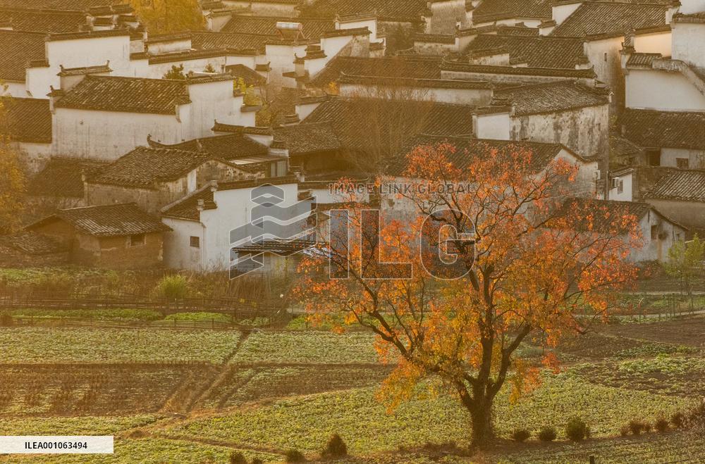 CHINA-ANHUI-HUANGSHAN-SCENERY (CN)