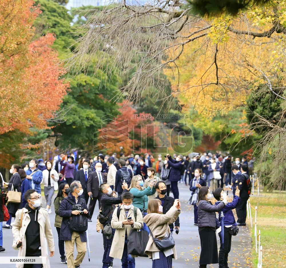 Imperial Palace opens to public for autumn leaves