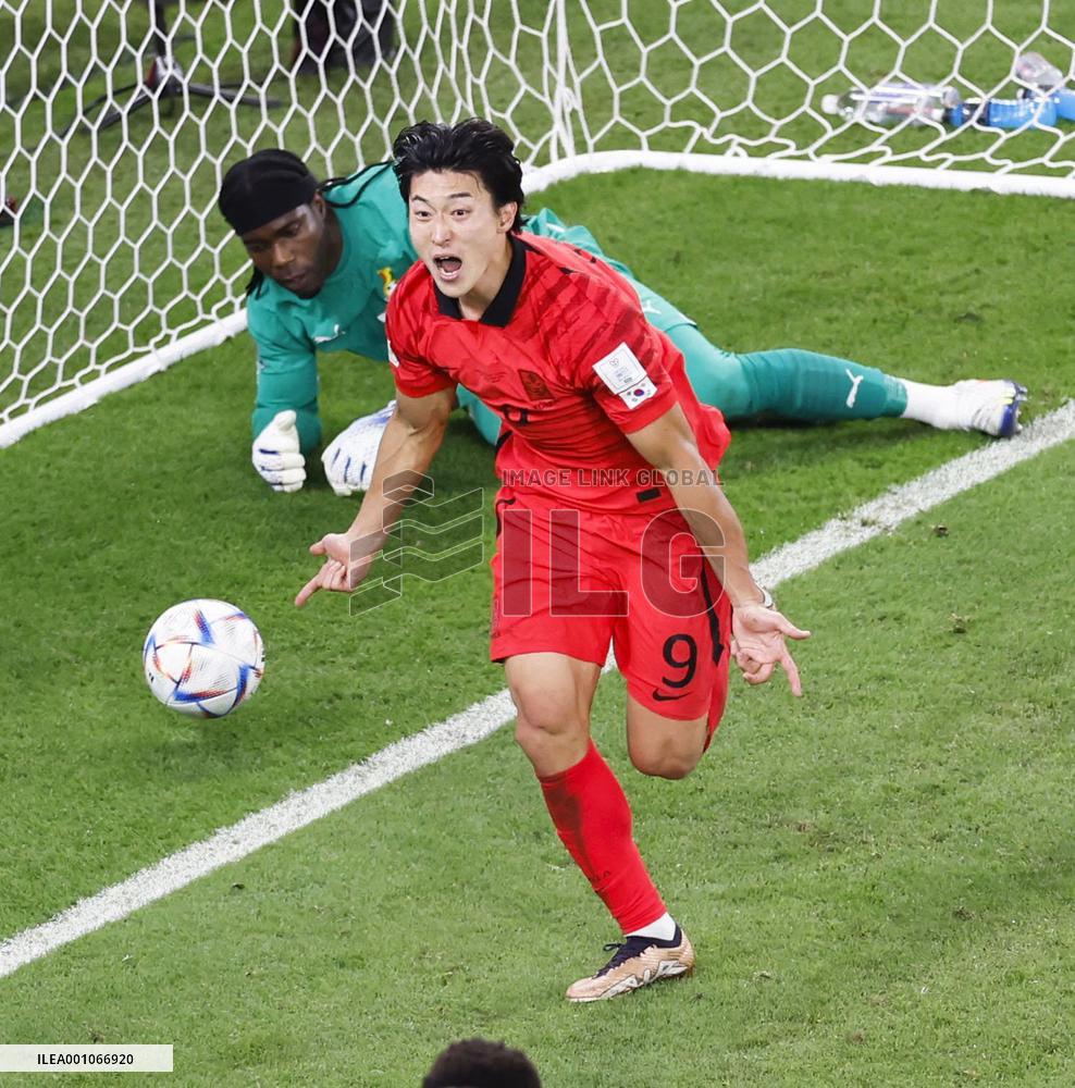 Football World Cup in Qatar