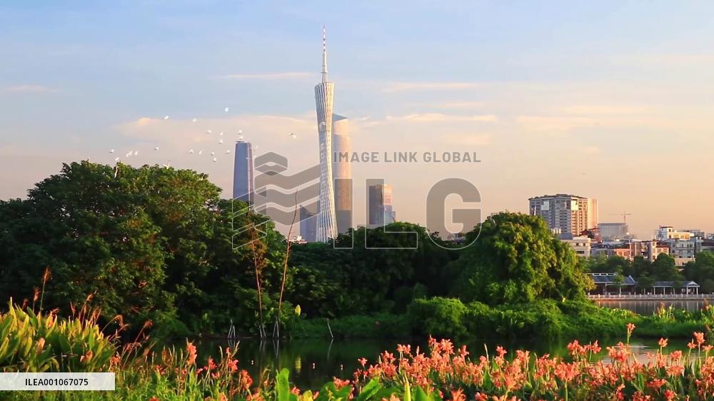 Malaysian researcher shares experience in China's Greater Bay Area