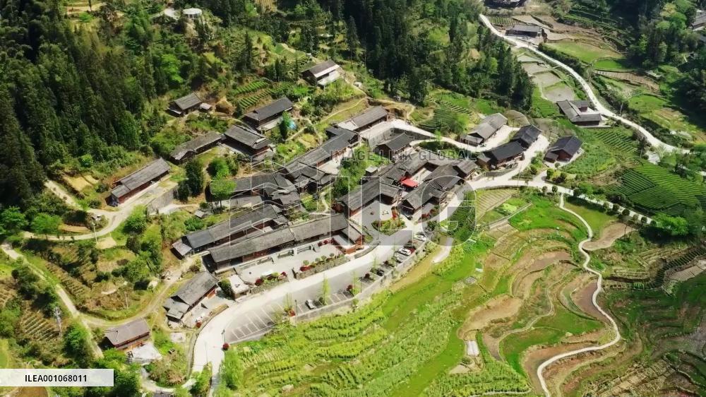 Vlog: A taste of Chinese tea and tea culture