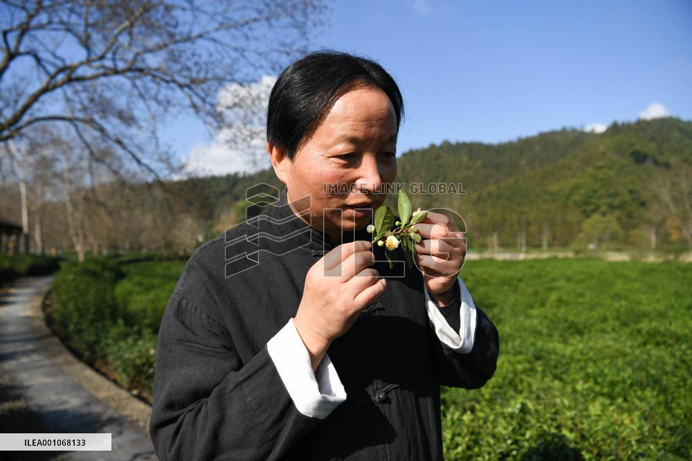 (MASTER OF CRAFTS)CHINA-ANHUI-QIMEN-KEEMUN BLACK TEA-INHERITOR (CN)