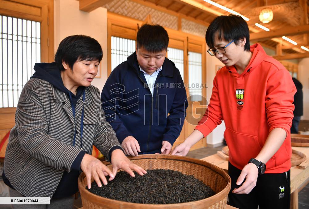 CHINA-FUJIAN-WUYISHAN-WUYI ROCK TEA (CN)