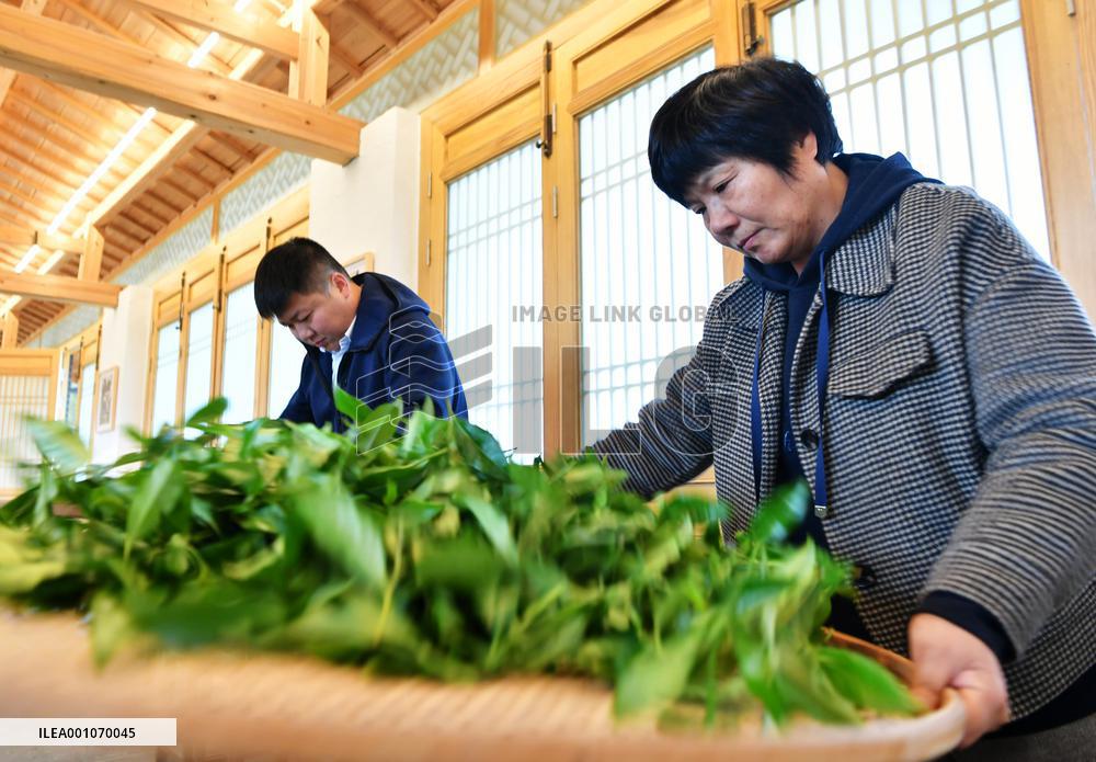CHINA-FUJIAN-WUYISHAN-WUYI ROCK TEA (CN)